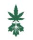 Eighth Cannabis – Toronto | Legal Weed Delivery