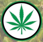 Merry Guanas – Lacombe | Legal Weed Delivery