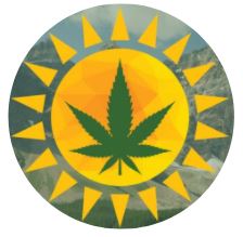 Solar Cannabis – Mayerthorpe | Legal Weed Delivery