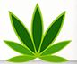 Ameri – Toronto | Legal Weed Delivery