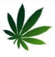 Cannabis Supply Co. – Fort Erie | Legal Weed Delivery