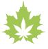 The House of Cannabis – Kitchener | Legal Weed Delivery