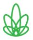 Leaf Lab Cannabis – Toronto | Legal Weed Delivery