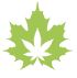 The House of Cannabis – Toronto | Legal Weed Delivery