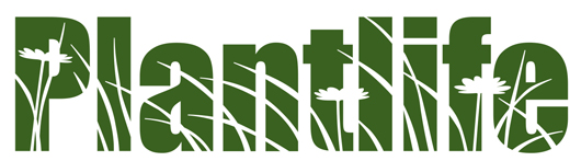 Plantlife Cannabis – Spruce Grove | Legal Weed Delivery