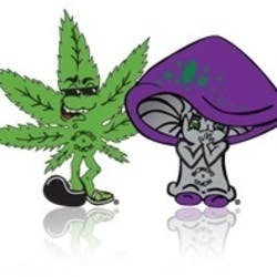 Bongs and Such Plus – Calgary | Legal Weed Delivery