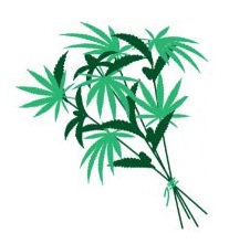 The Green Bouquet Cannabis – Port Sydney | Legal Weed Delivery